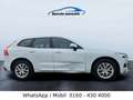 Volvo XC60 XC60 Momentum AWD LED Weiß - thumbnail 14