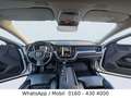 Volvo XC60 XC60 Momentum AWD LED Weiß - thumbnail 16
