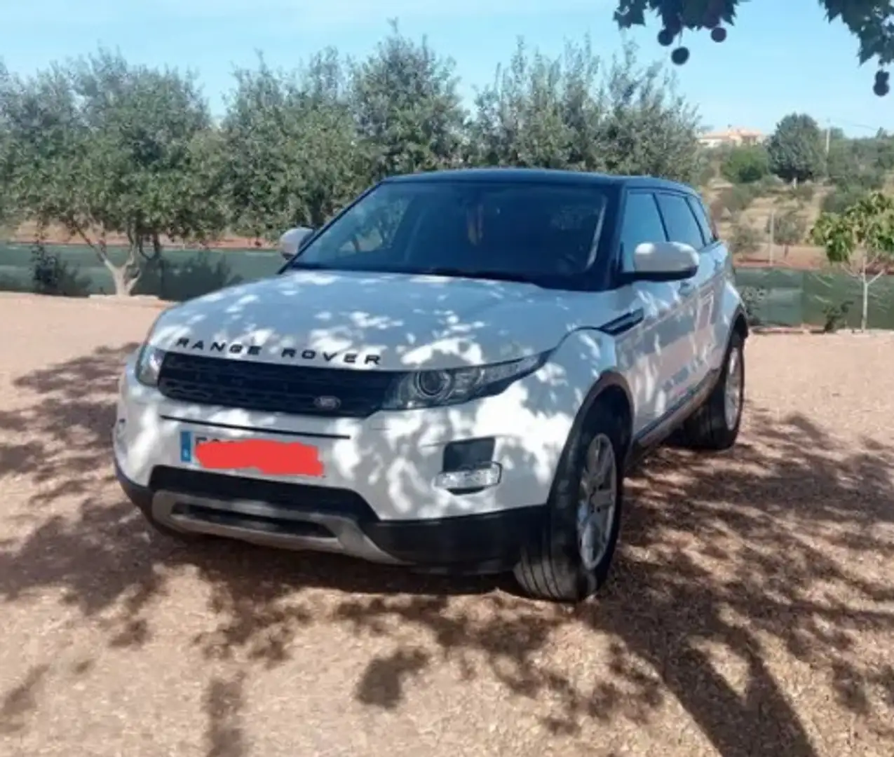 Land Rover Range Rover Evoque 2.2L TD4 Pure Tech 4x4 Aut. - 1