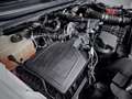 Ford Ranger 2.0 TDCi 125kW 4x4 Super Cab XL S/S Blanc - thumbnail 36