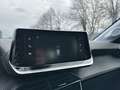 Peugeot 208 Active Pack PureTech 75 S/S Grigio - thumbnail 13