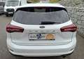 Ford Focus Turnier 1,5 EcoBlue Titanium X Weiß - thumbnail 5