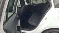 Ford Focus Turnier 1,5 EcoBlue Titanium X Weiß - thumbnail 14