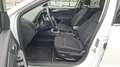 Ford Focus Turnier 1,5 EcoBlue Titanium X Weiß - thumbnail 8