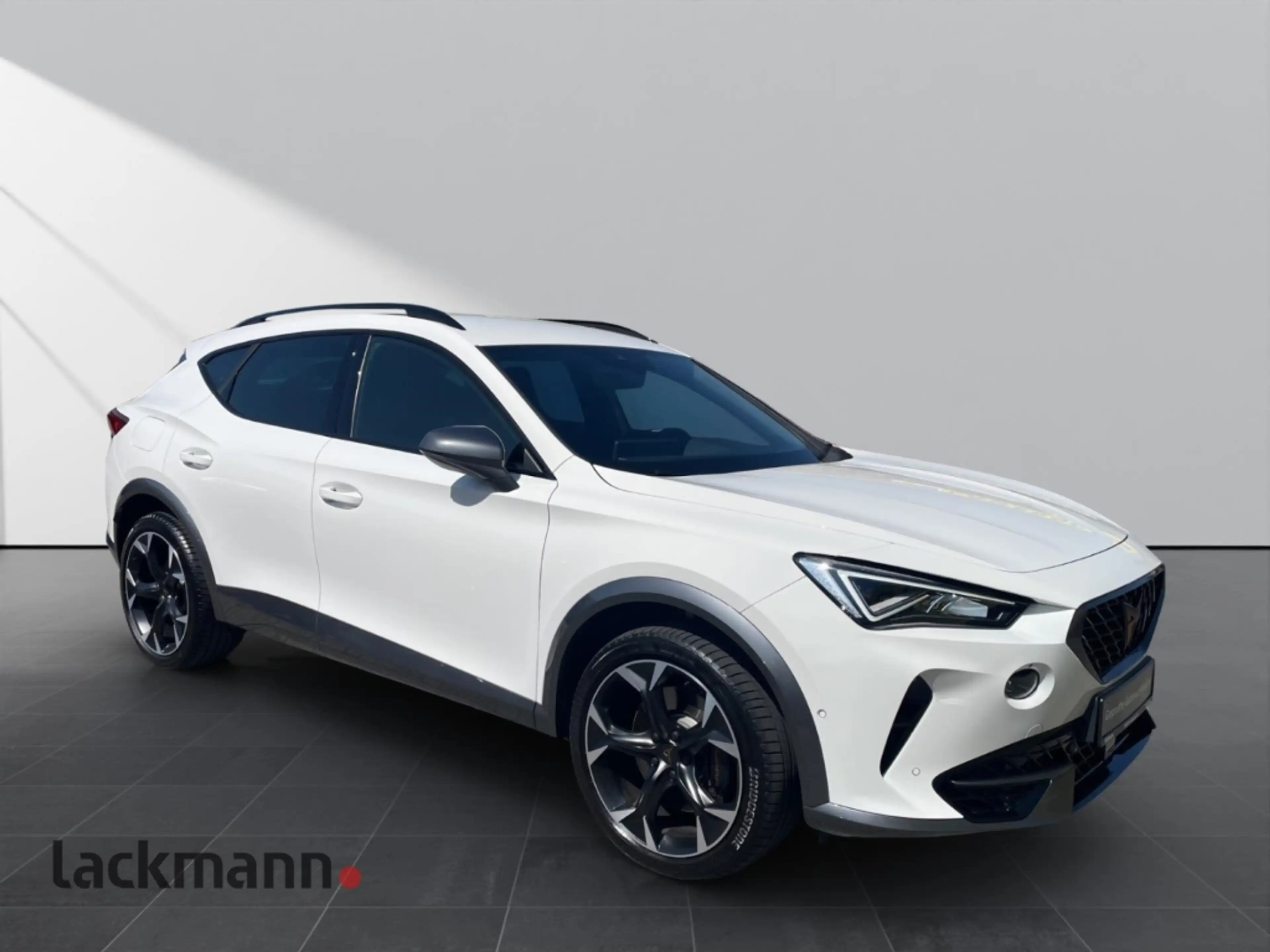 CUPRA Formentor 2.0 VZ 4Drive*Navi*LED*Kamera*ACC* — photo 4