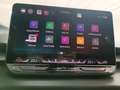 CUPRA Terramar 1.5 eTSI 110 DSG Gris - thumbnail 15