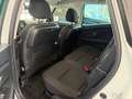 Renault Scenic Scenic4 Limited TCE Weiß - thumbnail 10