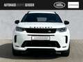 Land Rover Discovery Sport D200 AWD R-Dynamic SE Automatik Weiß - thumbnail 7