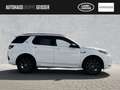 Land Rover Discovery Sport D200 AWD R-Dynamic SE Automatik Weiß - thumbnail 6