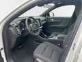 Volvo EX40 Single Motor Plus Black Edition 20'' AHK LED ACC 3 Білий - thumbnail 10