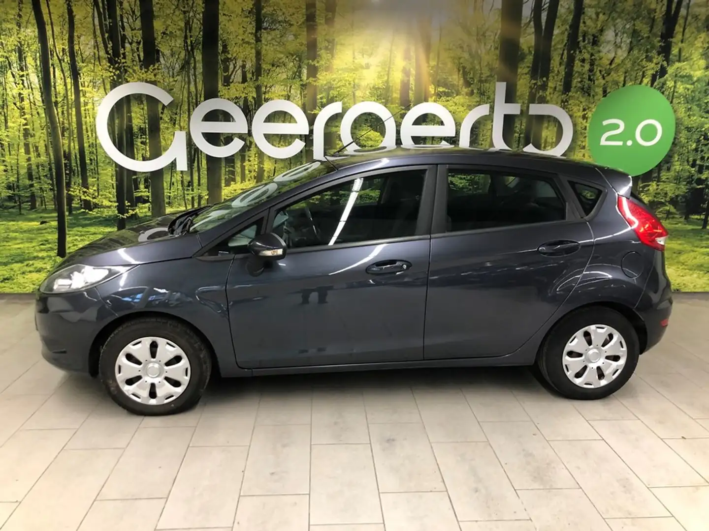 Ford Fiesta 1.25i  82 PS / 60 kW 5d Trend 5v Gris - 2
