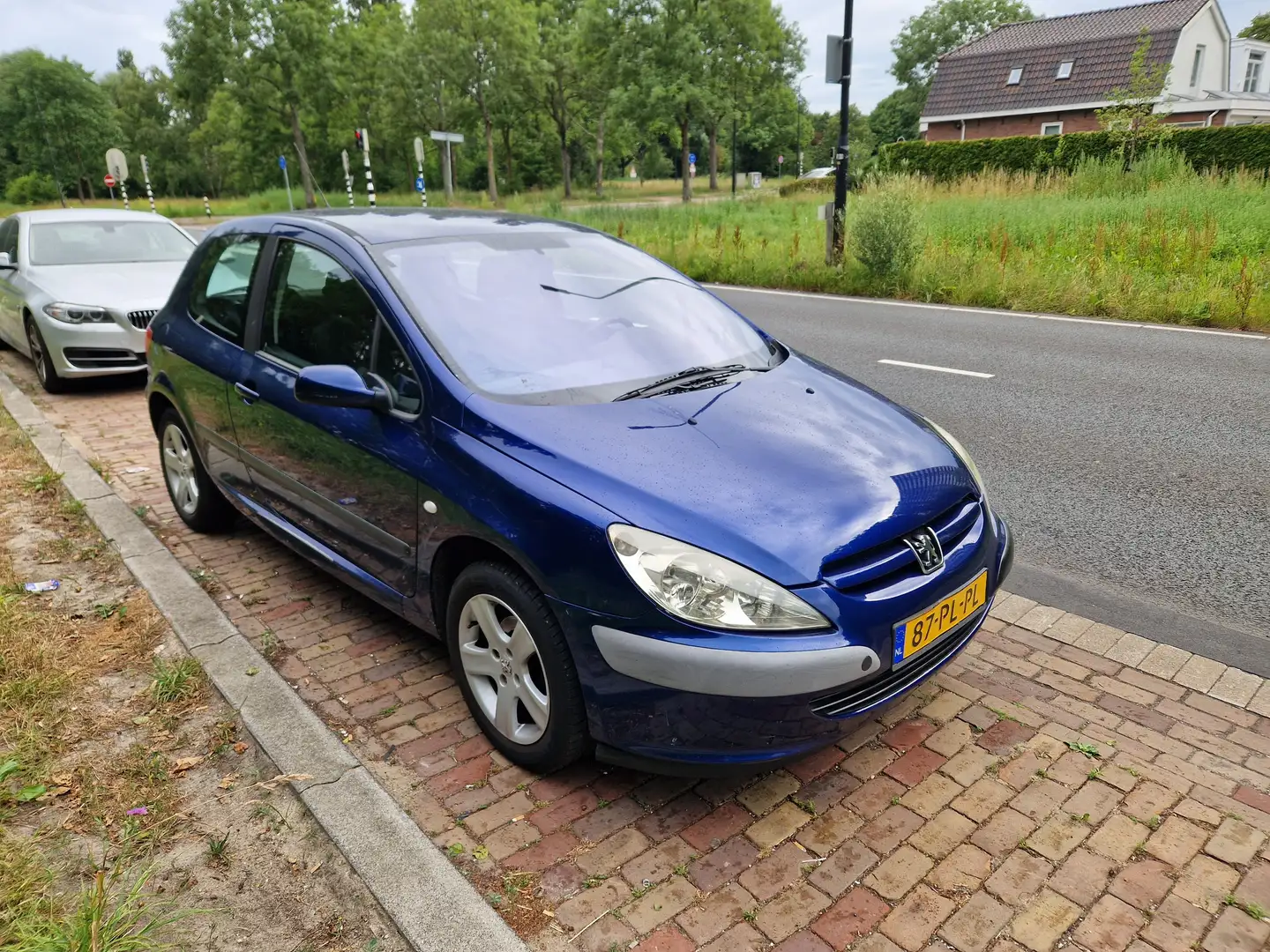 Peugeot 307 307 1.4-16V XS Blauw - 2