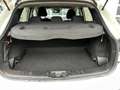 Nissan Qashqai 1121373 Weiß - thumbnail 19