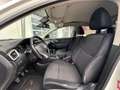 Nissan Qashqai 1121373 Weiß - thumbnail 11