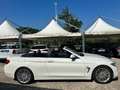 BMW 420 Serie 420d Cabrio Luxury 190cv auto Bianco - thumbnail 5