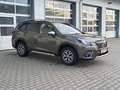 Subaru Forester Comfort Kamera*Abstand*Spur*Totw*DAB*BT Groen - thumbnail 4