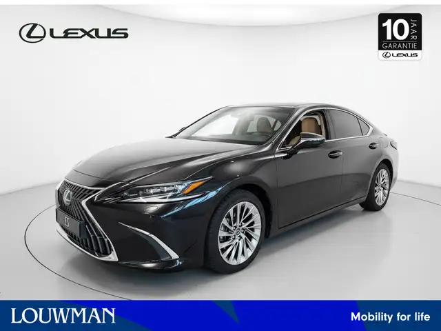 Lexus ES 300 300h President Line | Mark Levinson | 360° Camera