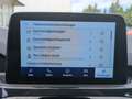 Ford Kuga 2.5 PHEV Plug-In Hybrid ST-Line Automatik LED Grau - thumbnail 25
