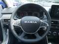 Dacia Sandero Stepway Extreme TCe 110 Weiß - thumbnail 8