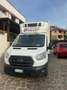Ford Transit FRIGO CONGELATORE -3 IVA ESPOSTA Weiß - thumbnail 1