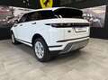 Land Rover Range Rover Evoque 2.0d i4 mhev S awd 150cv auto Blanc - thumbnail 7