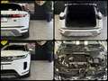 Land Rover Range Rover Evoque 2.0d i4 mhev S awd 150cv auto Blanc - thumbnail 15