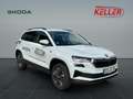 Skoda Karoq Karoq Tour 1,5 TSI 110 kW 7-Gang-DSG AHK Weiß - thumbnail 3