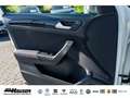 Volkswagen T-Roc Sport 1.5 TSI DSG NAVI KAMERA ACC LED PDC Weiß - thumbnail 14