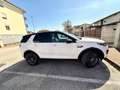 Land Rover Discovery Sport 2.0 si4 HSE awd 240cv Bianco - thumbnail 3