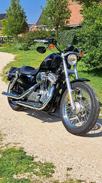 Harley-Davidson SPORTSTER 883 - foto 2