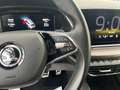 Skoda Octavia Combi Scout 4x4 2.0 TDI HUD AHK Kamera Navi DigiCo Grijs - thumbnail 23