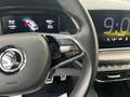 Skoda Octavia Combi Scout 4x4 2.0 TDI HUD AHK Kamera N Grau - thumbnail 23