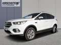 Ford Kuga Cool&Connect 1.5 TDCi AHK Totwinkel Navi PDC White - thumbnail 2