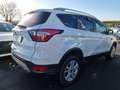 Ford Kuga Cool&Connect 1.5 TDCi AHK Totwinkel Navi PDC White - thumbnail 13