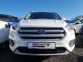 Ford Kuga Cool&Connect 1.5 TDCi AHK Totwinkel Navi PDC White - thumbnail 6