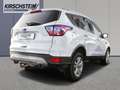 Ford Kuga Cool&Connect 1.5 TDCi AHK Totwinkel Navi PDC White - thumbnail 3