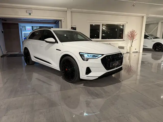 Audi Q8 e-tron 55 QUATTRO 408PK * FULL BLACK PACK * S-LINE * LEDER * CAMERA * TREKHAAK * CAR PLAY * 22" ABT VELGEN * LUCHTVERING *!!