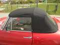 Alfa Romeo Spider Rundheck Red - thumbnail 10