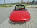 Alfa Romeo Spider Rundheck Rouge - thumbnail 6