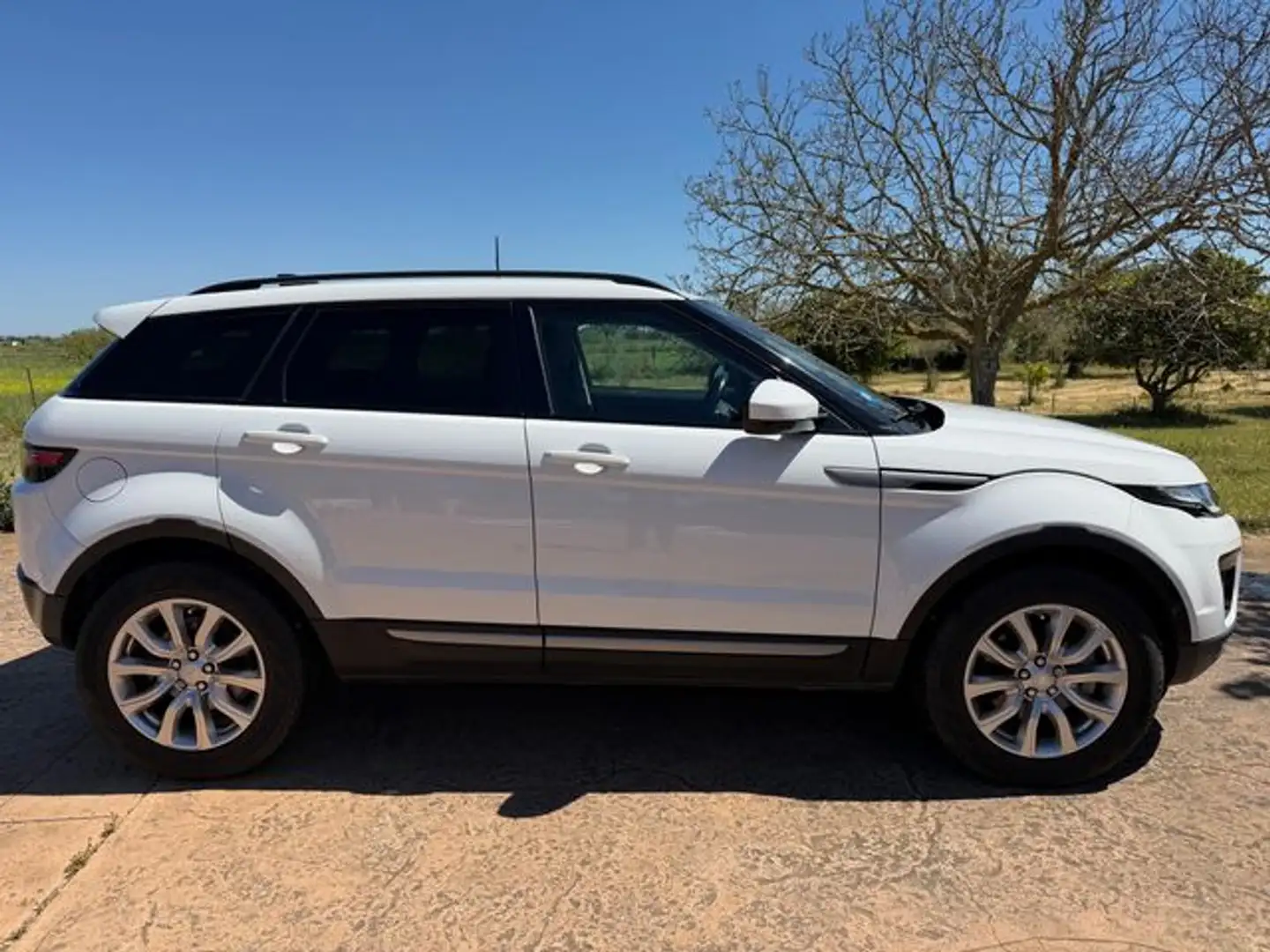 Land Rover Range Rover Evoque Range Rover Evoque 2.0TD4 SE 4WD Aut. 150 SE Blanco - 2