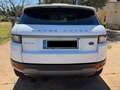 Land Rover Range Rover Evoque Range Rover Evoque 2.0TD4 SE 4WD Aut. 150 SE Blanco - thumbnail 3