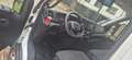 Iveco Daily 35C14 2.3 Turbo VGT - thumbnail 9