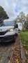 Iveco Daily 35C14 2.3 Turbo VGT - thumbnail 13