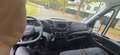 Iveco Daily 35C14 2.3 Turbo VGT - thumbnail 8