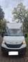 Iveco Daily 35C14 2.3 Turbo VGT - thumbnail 15