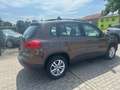 Volkswagen Tiguan Trend & Fun AHK, Klima, PDC Braun - thumbnail 6