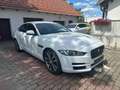 Jaguar XE XE 20t Pure Aut. Pure Weiß - thumbnail 4