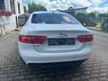 Jaguar XE XE 20t Pure Aut. Pure Weiß - thumbnail 6