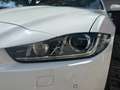 Jaguar XE XE 20t Pure Aut. Pure Weiß - thumbnail 19
