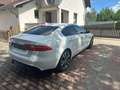 Jaguar XE XE 20t Pure Aut. Pure Weiß - thumbnail 5